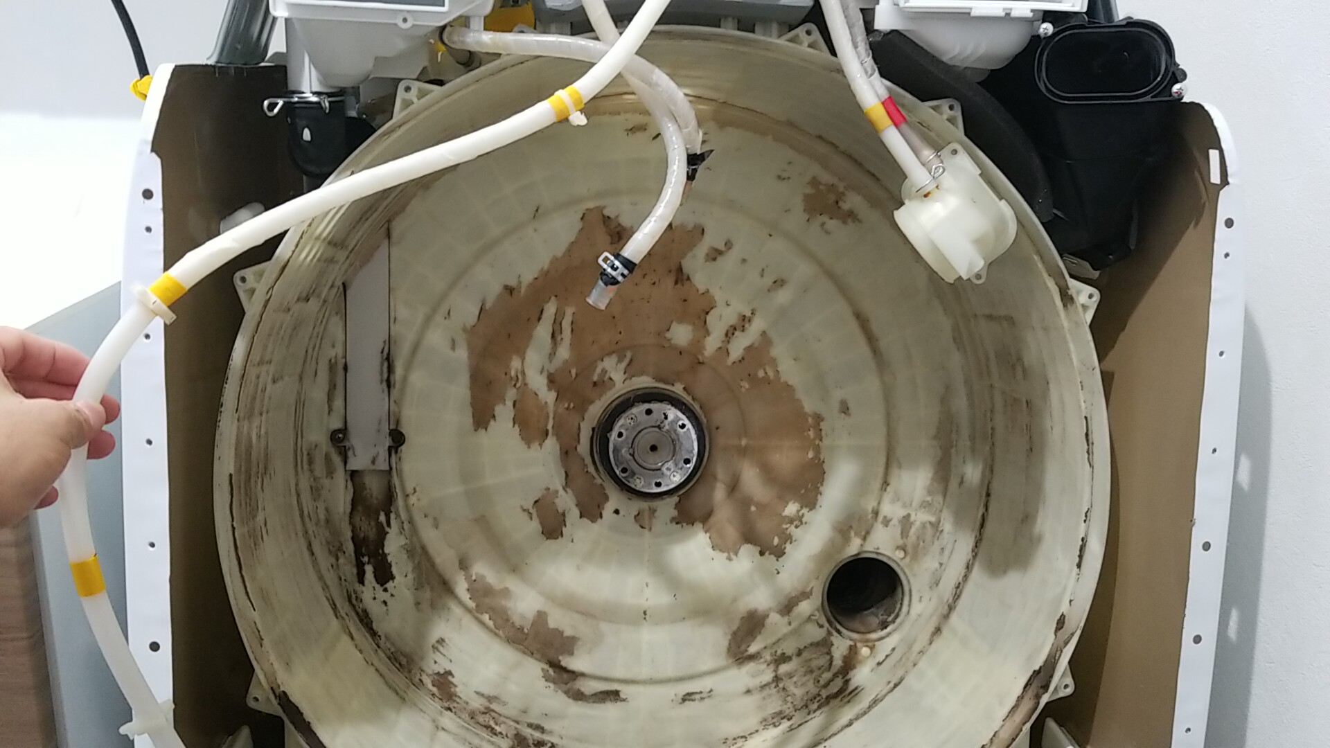 豊田市日立製ドラム洗濯機クリーニング同時乾燥排水清掃